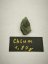 Raw Moldavite 1,87g - ČR, Chlum