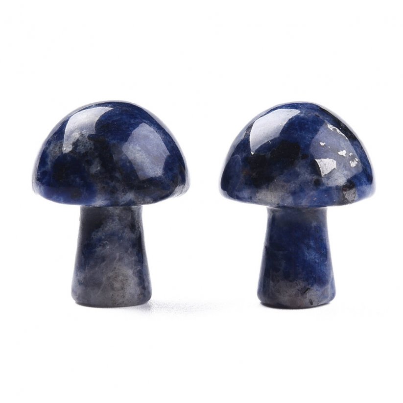 Mushroom shaped sodalite