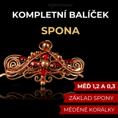 Balíček na únorové téma - klub drátování - spona